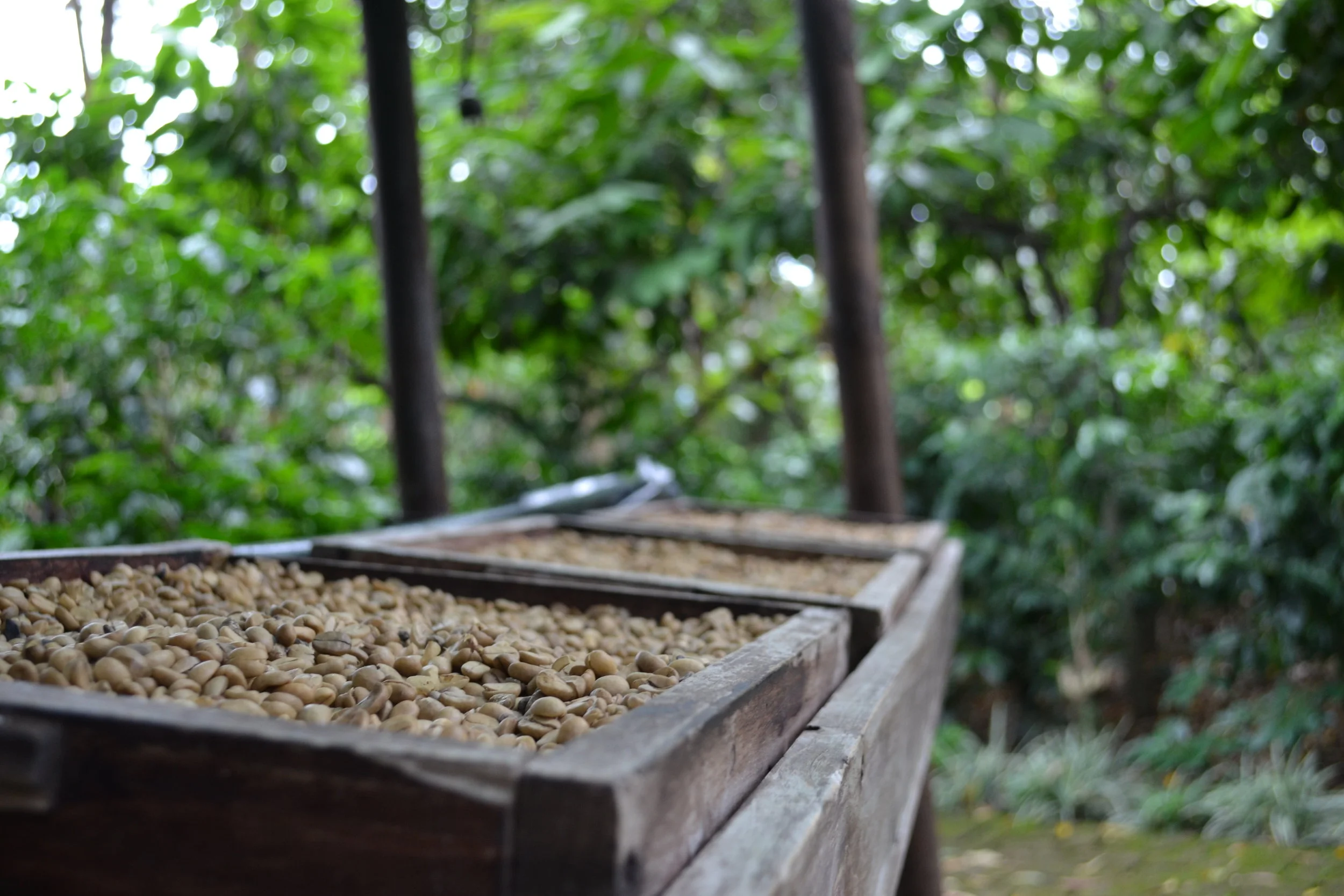 Café Britt,CR