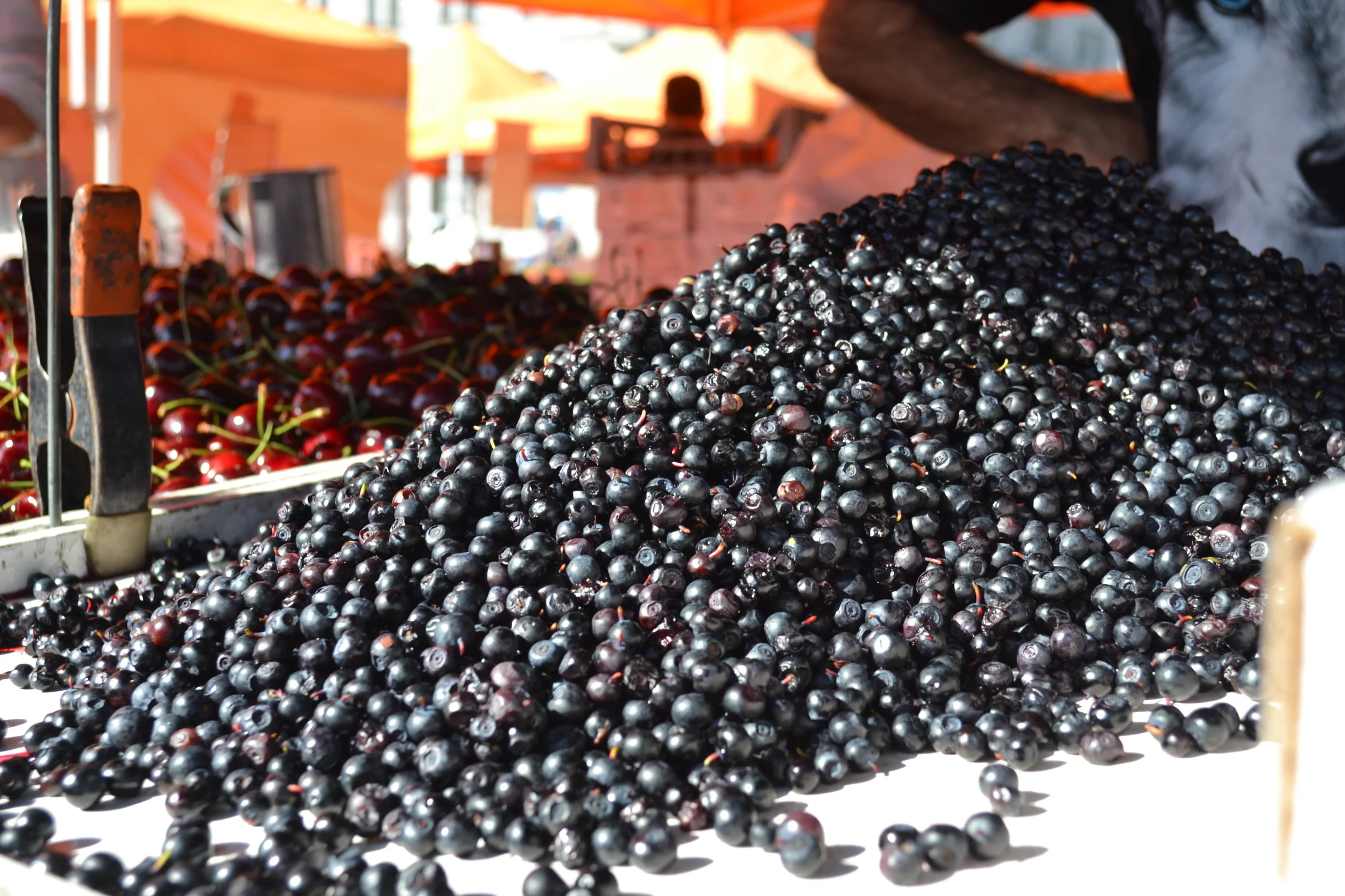Fresh Blueberries at the Farmers Market, Helsinki,FI
