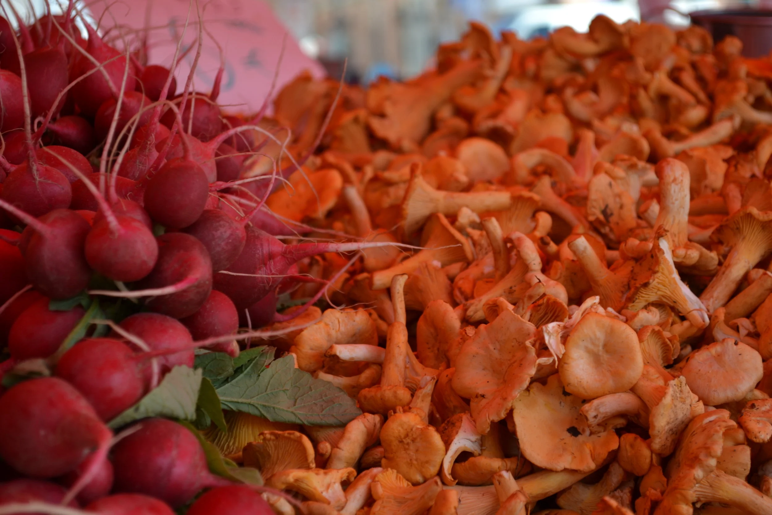 Fresh Radishes and Chanterelles at the Farmers Market, Helsinki,FI