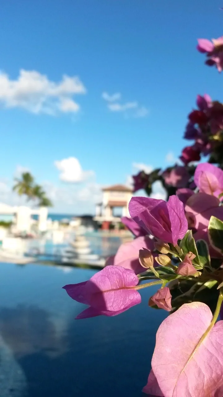 Sandals, Great Exuma,BS