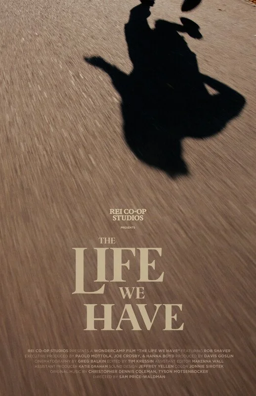 The Life We Have Poster.jpg