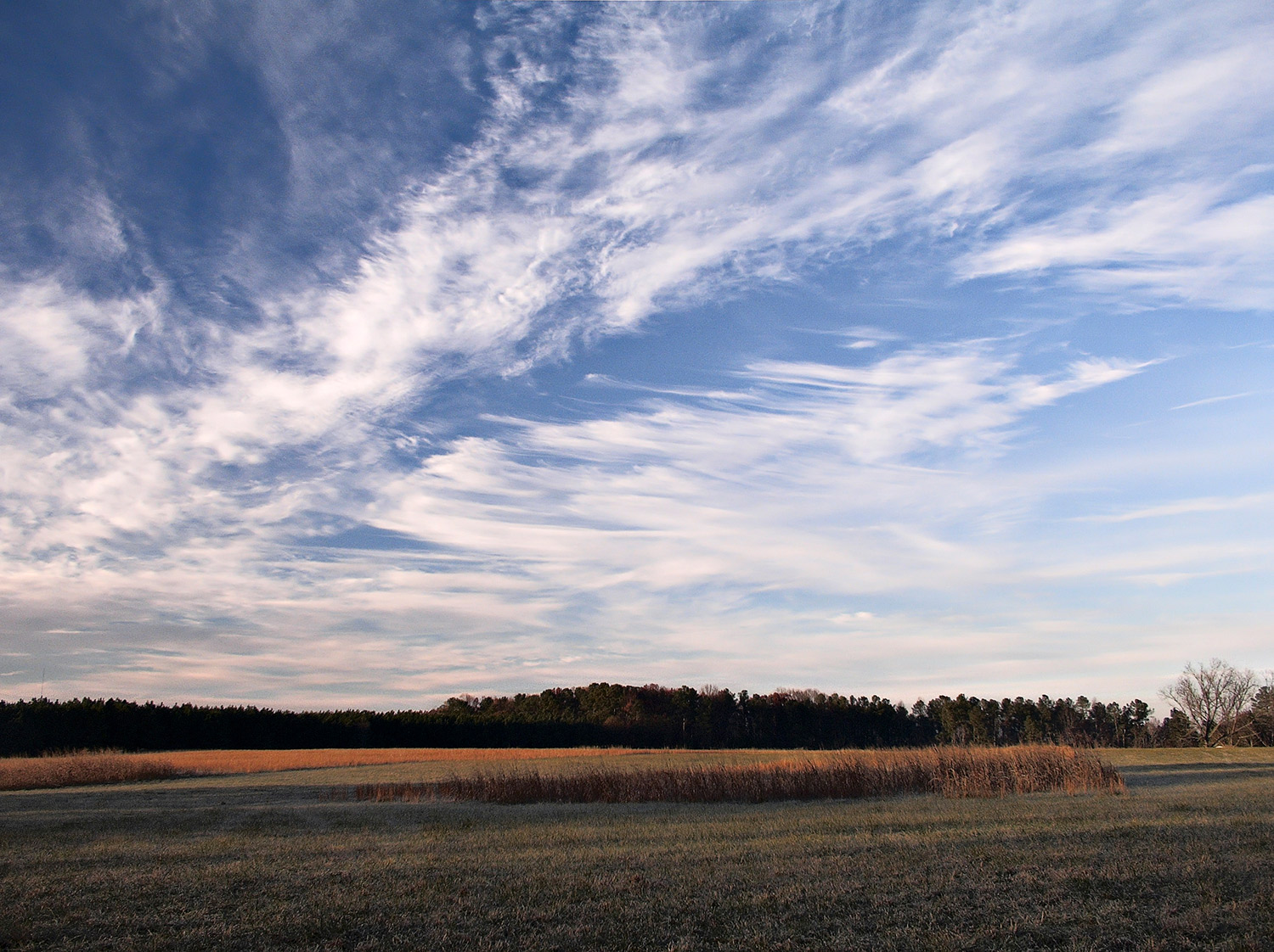Sky.jpg