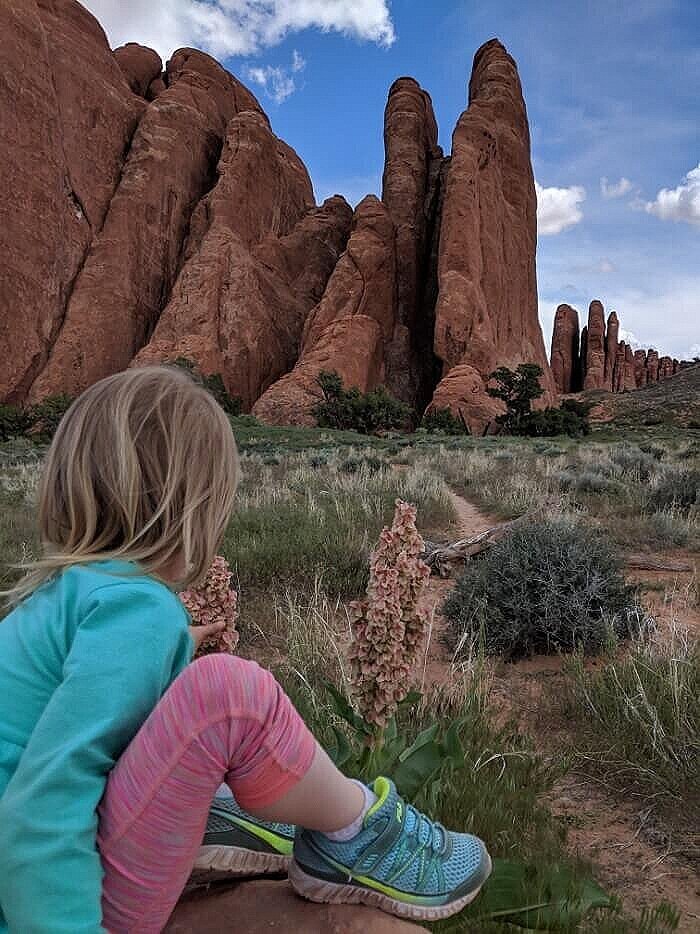 Towering sandstone fins in Arches National Park, Moab, Utah