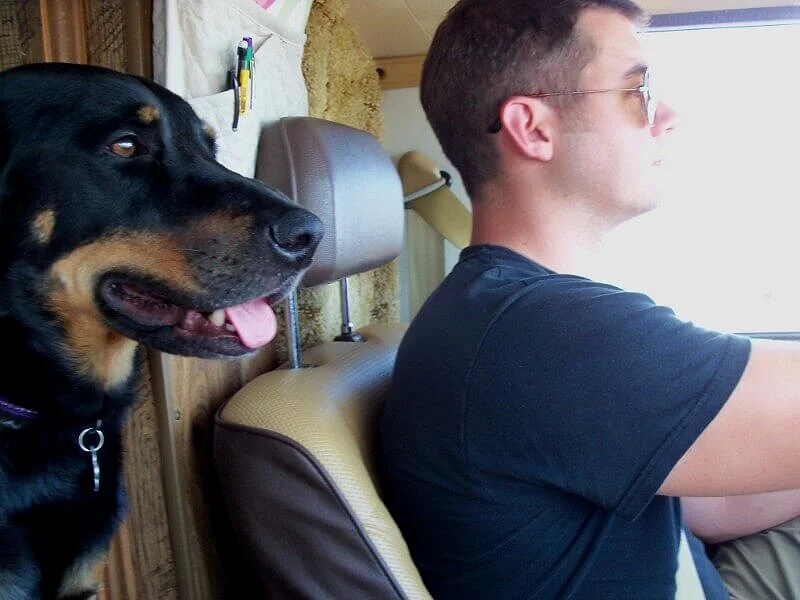 travel dog sadie riding between people in toyota sunrader overlanding family