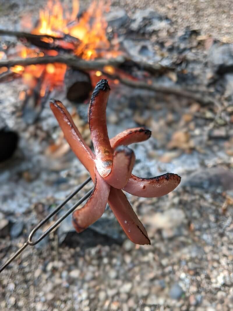 Fun way to cook hot dogs when camping with kids.