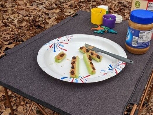 Ants on a log as a fun camping snack for kids.