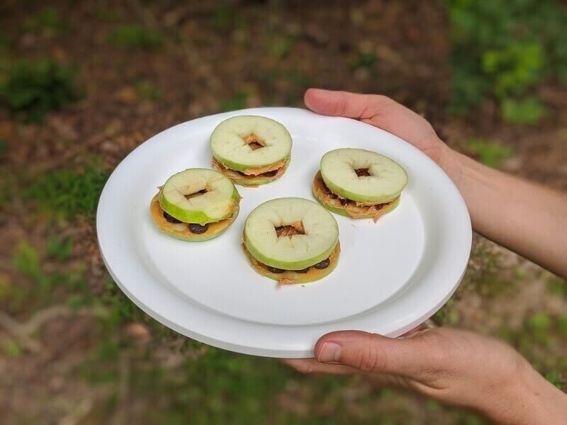 Apple cookies as a camping dessert for kids.