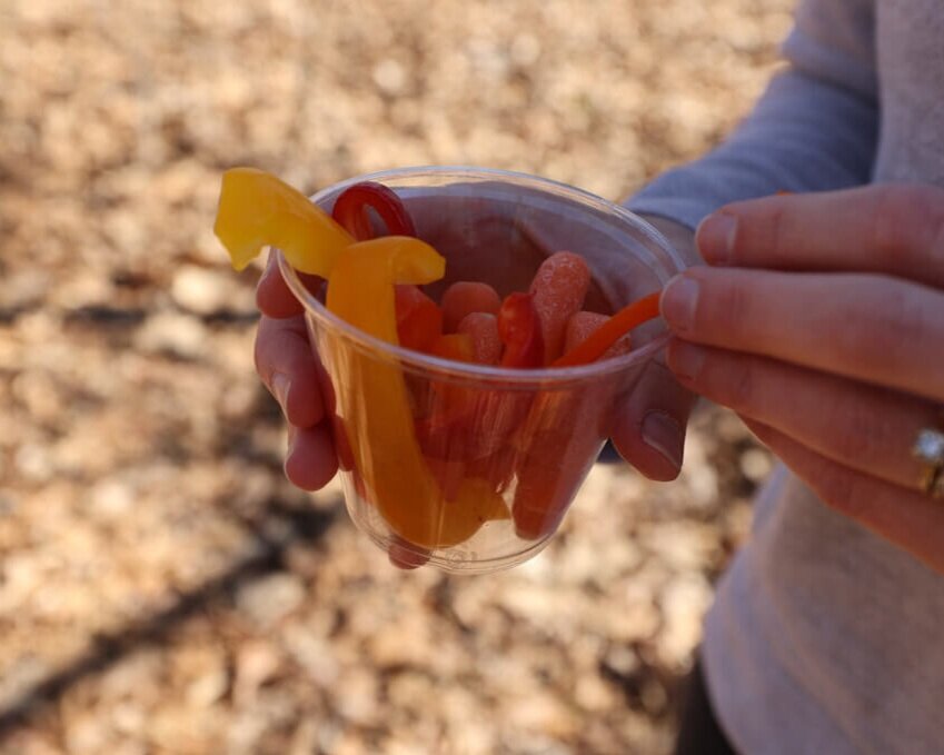 sliced veggies as a healthy make ahead camping snack