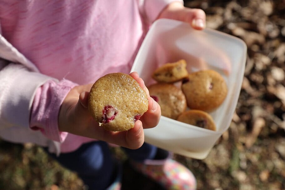 easy make ahead muffins as easy camping snacks for kids