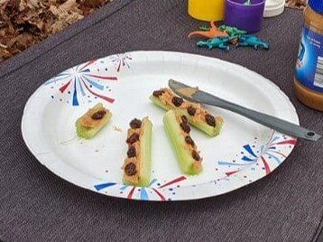 ant on a log as a fun and easy camping snack idea for kids
