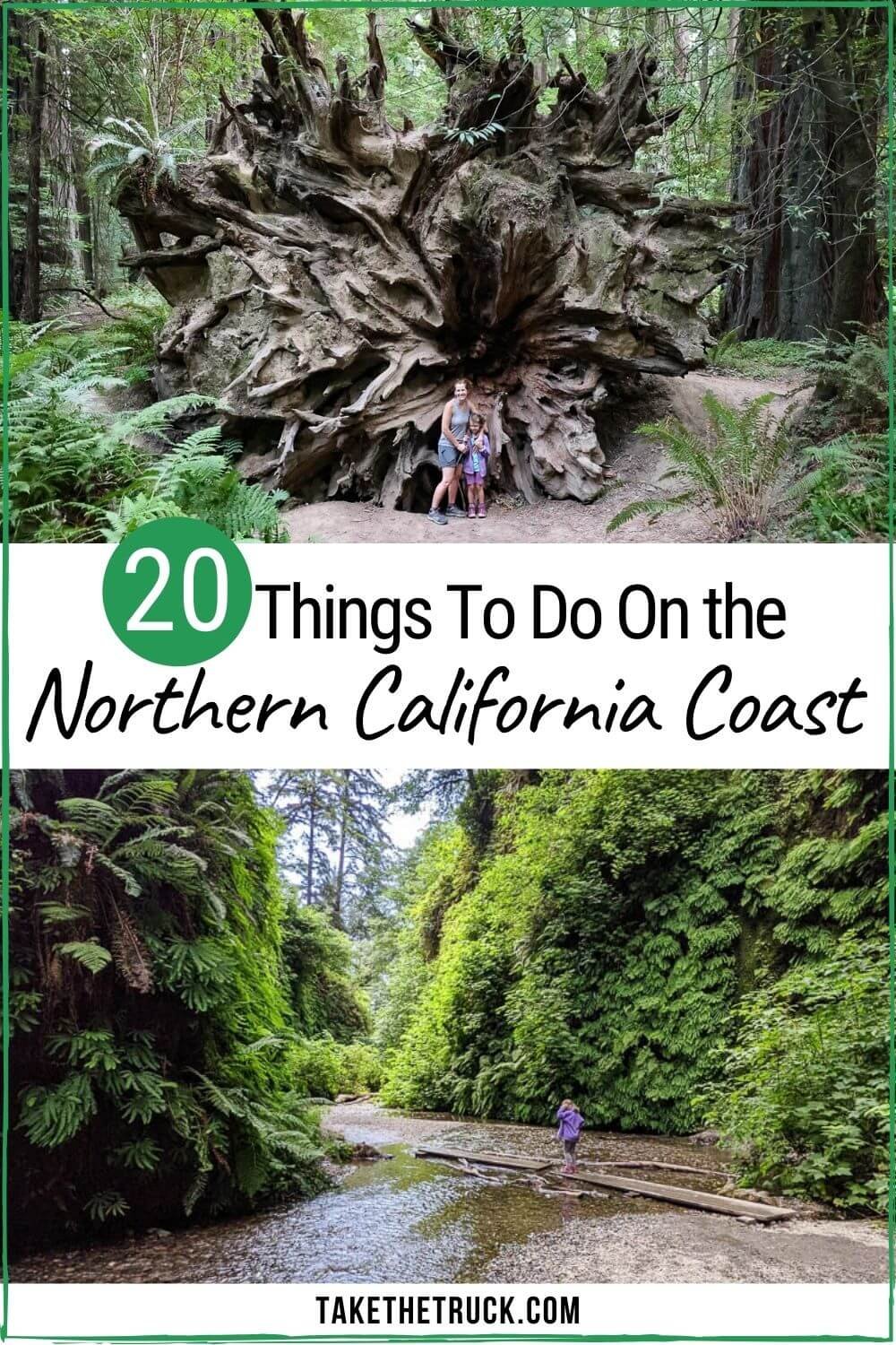 things to do in redwood national park northern california - northern california road trip itinerary - things to do in northern california coast - northern california road trip