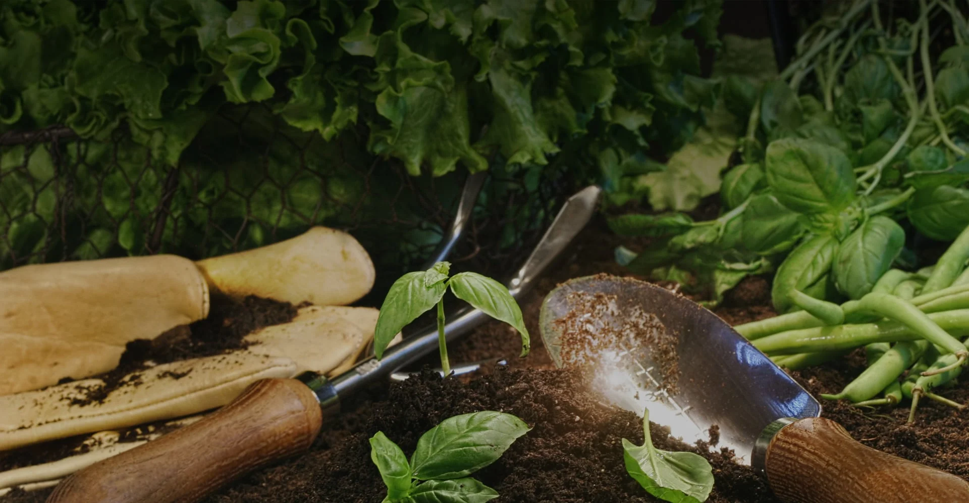 mt-1021-header-bg.jpg