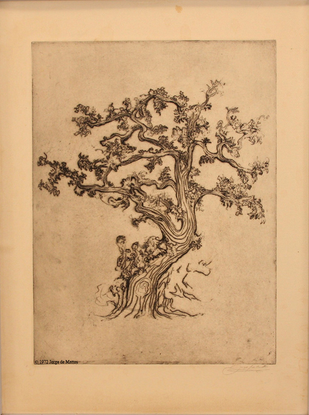 Encino Oak