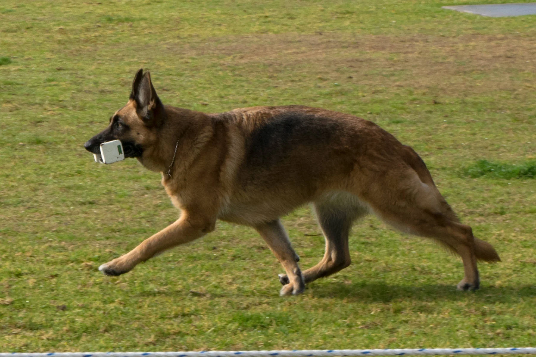 BMDTC-trial-2019_007.jpg