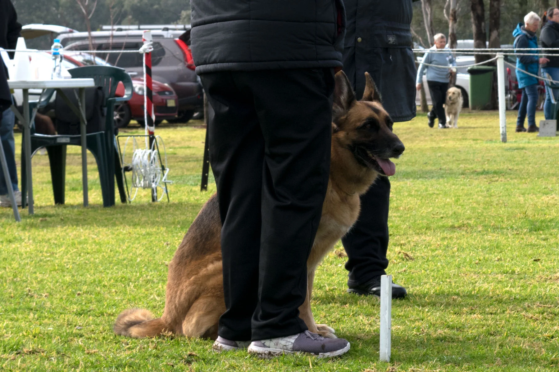 BMDTC-trial-2019_006.jpg
