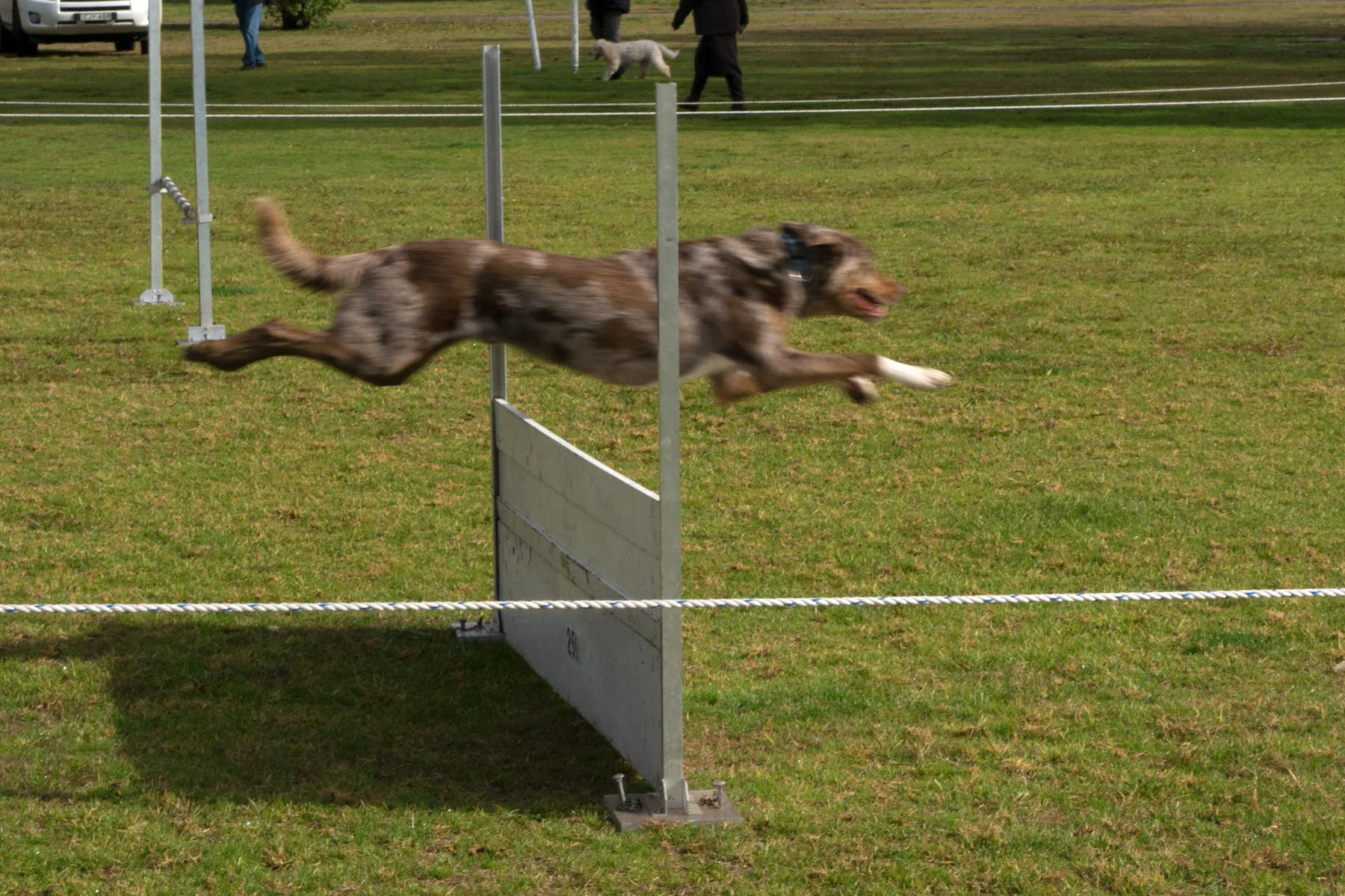 BMDTC-trial-2019_012.jpg