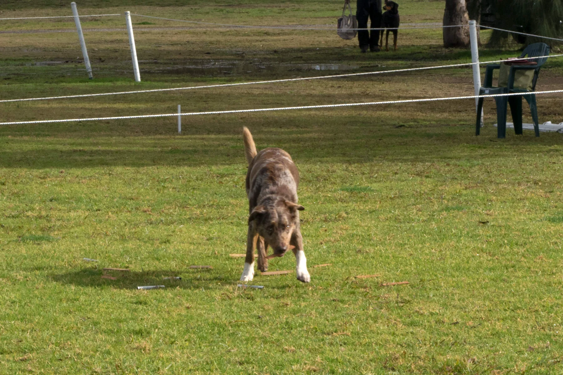 BMDTC-trial-2019_014.jpg