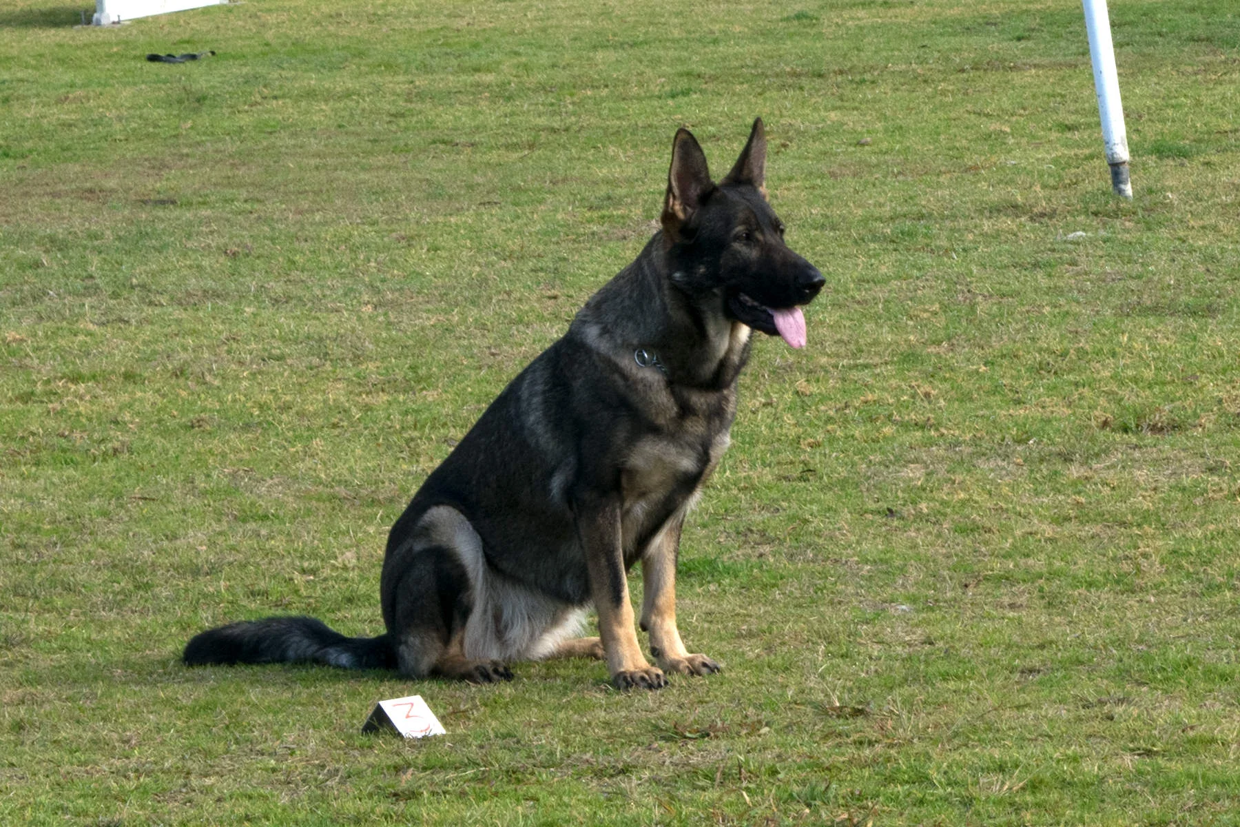 BMDTC-trial-2019_035.jpg