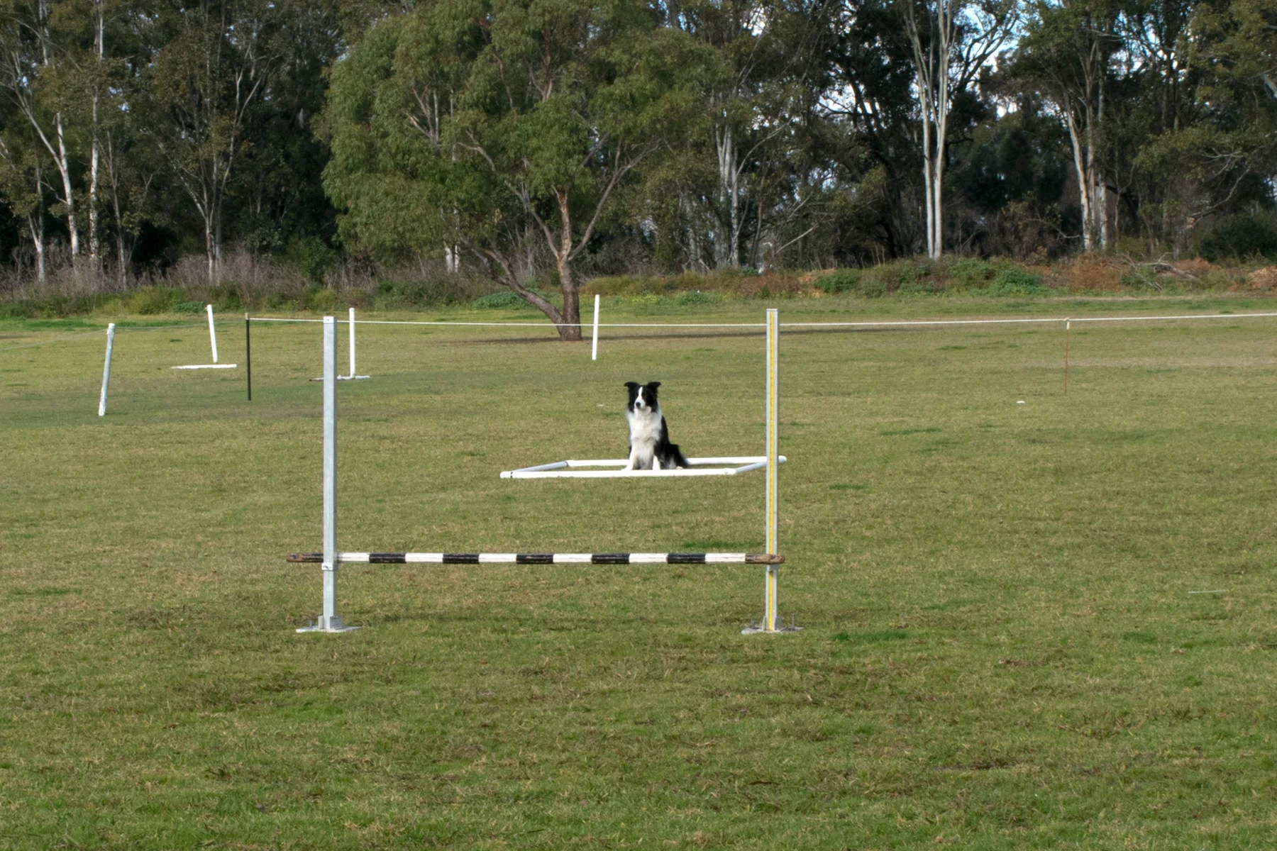 BMDTC-trial-2019_039.jpg