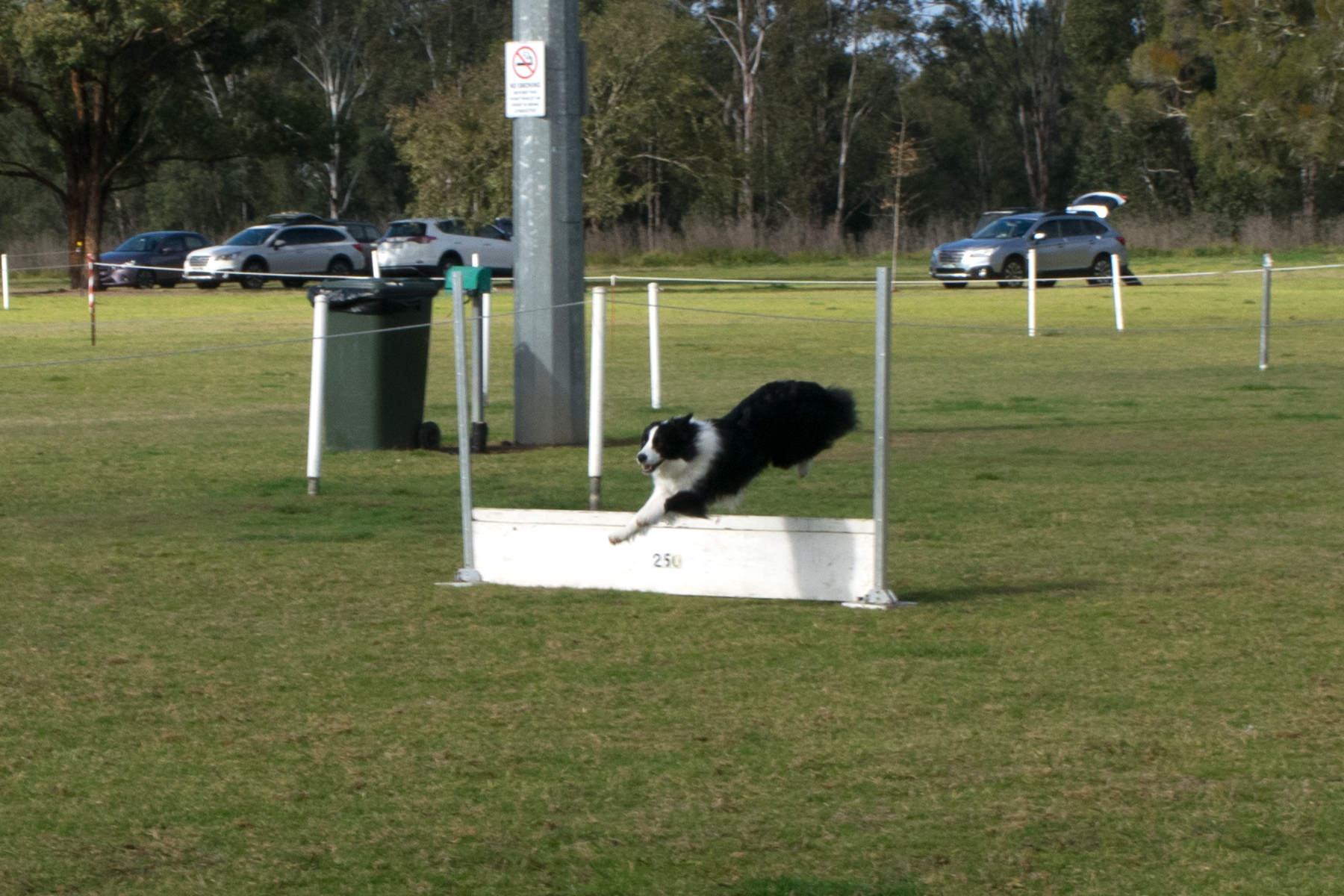BMDTC-trial-2019_040.jpg