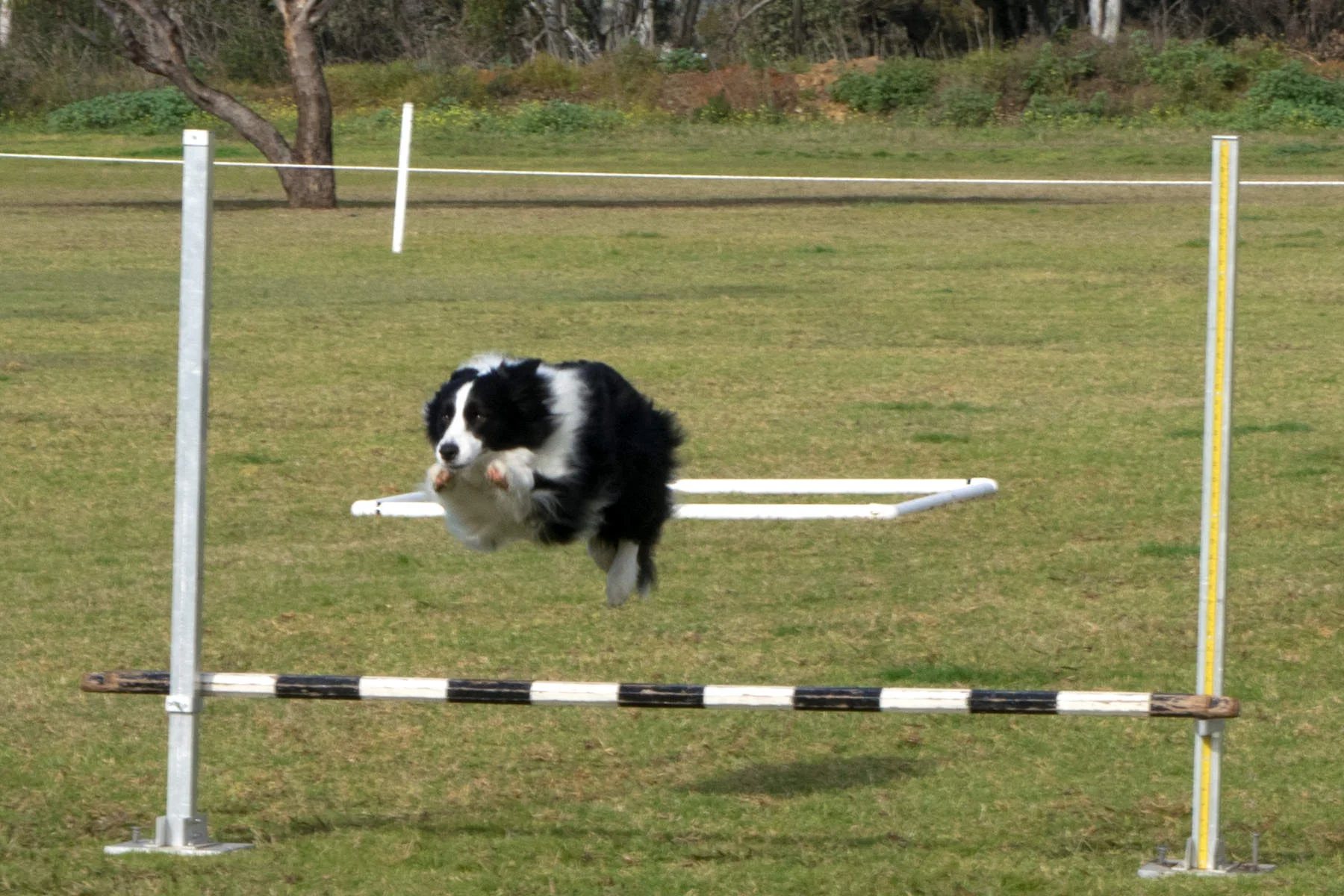 BMDTC-trial-2019_041.jpg