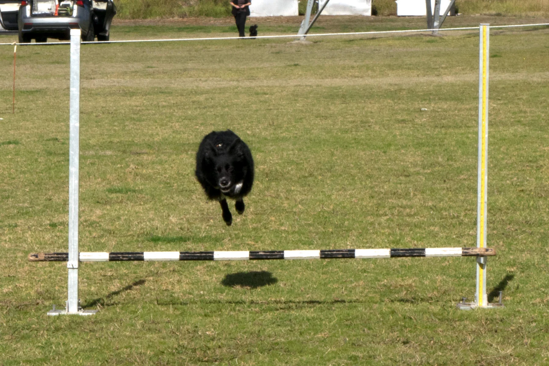 BMDTC-trial-2019_063.jpg