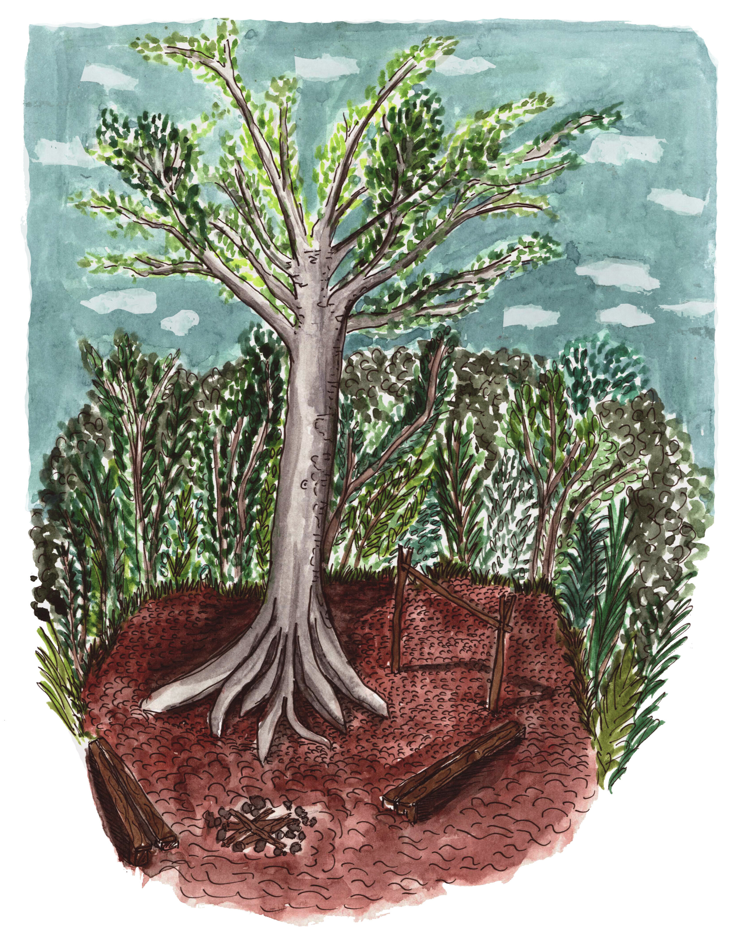 5- Ceiba Tree revised.jpg