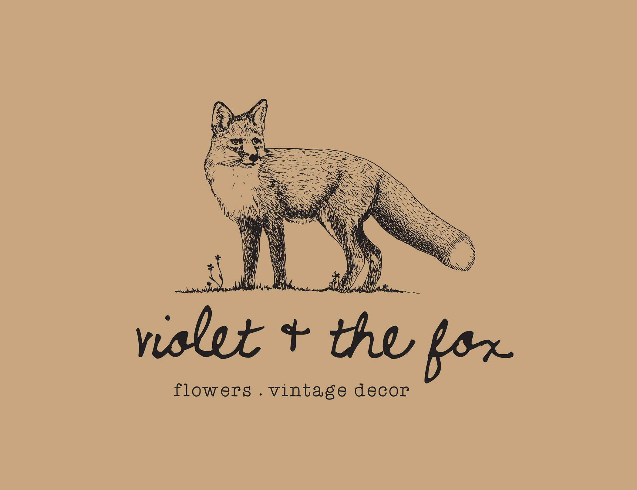 Violet and The Fox