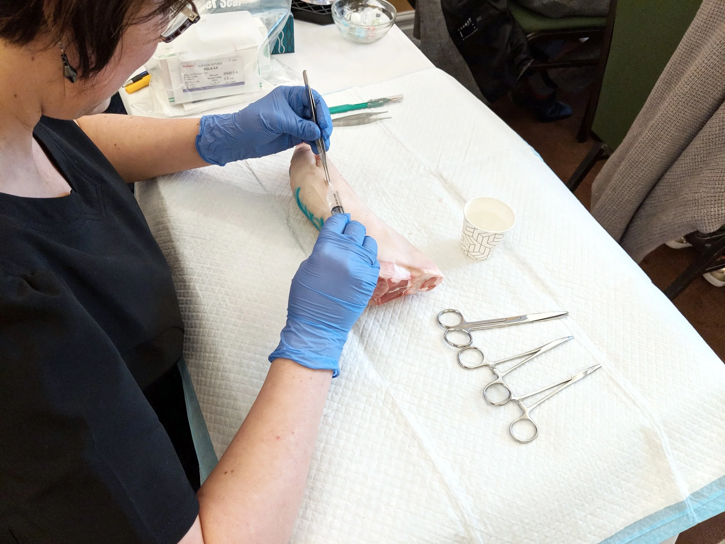 SUTURED Course
