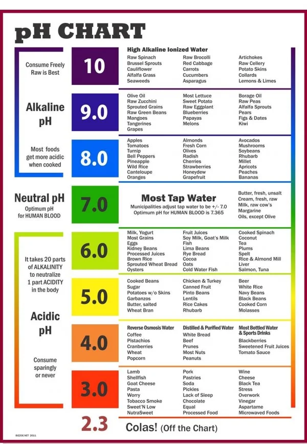 ph-chart1-600x868.jpeg