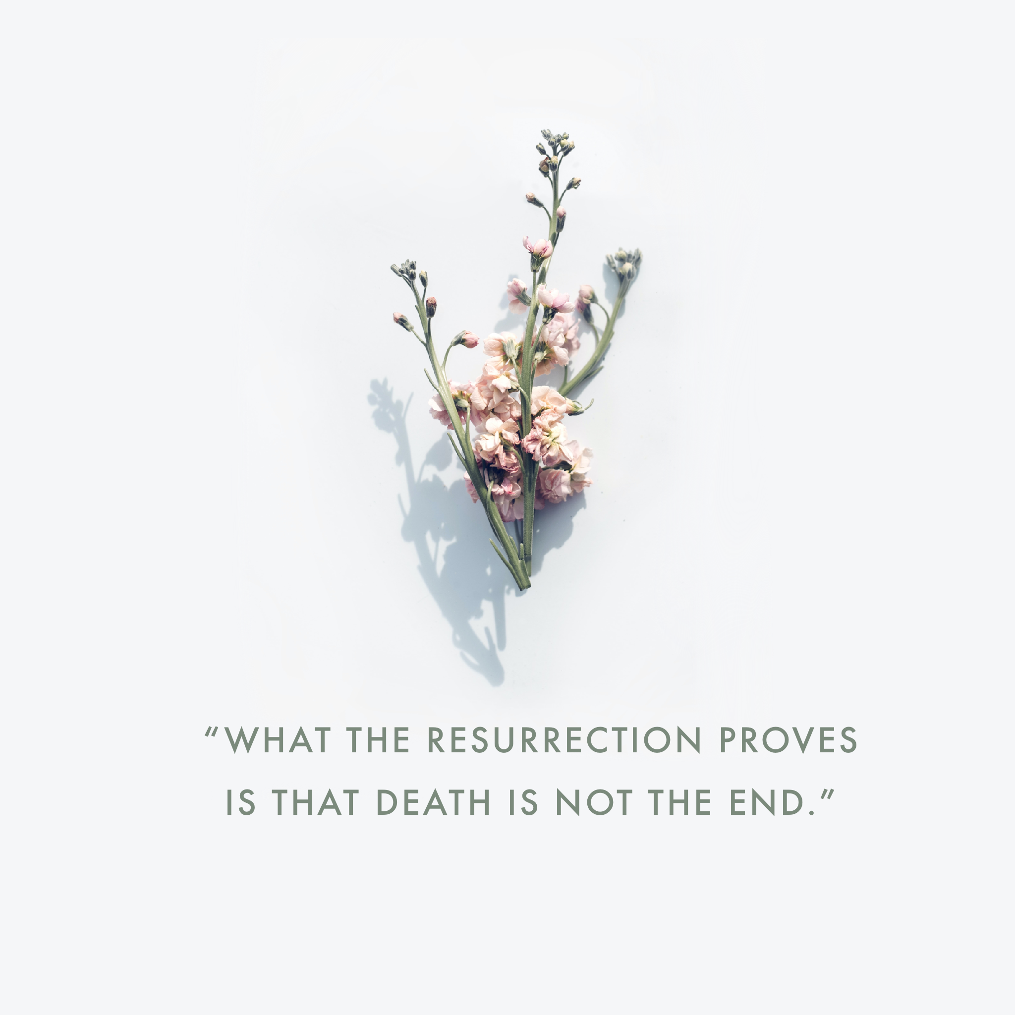 IMG_0284.PNG