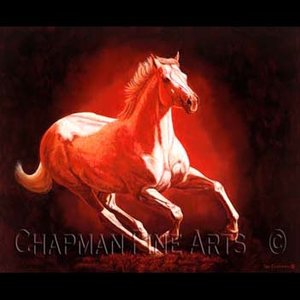 Tom Chapman (#201)