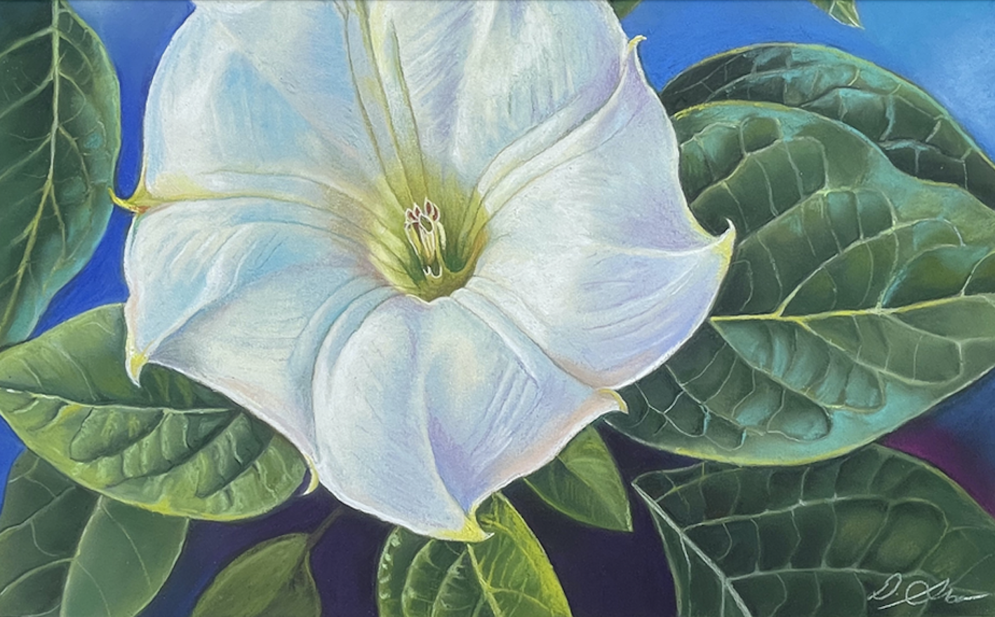 WORKSHOP: Moonflowers: Pastels in the Style of Georgia O'Keeffe