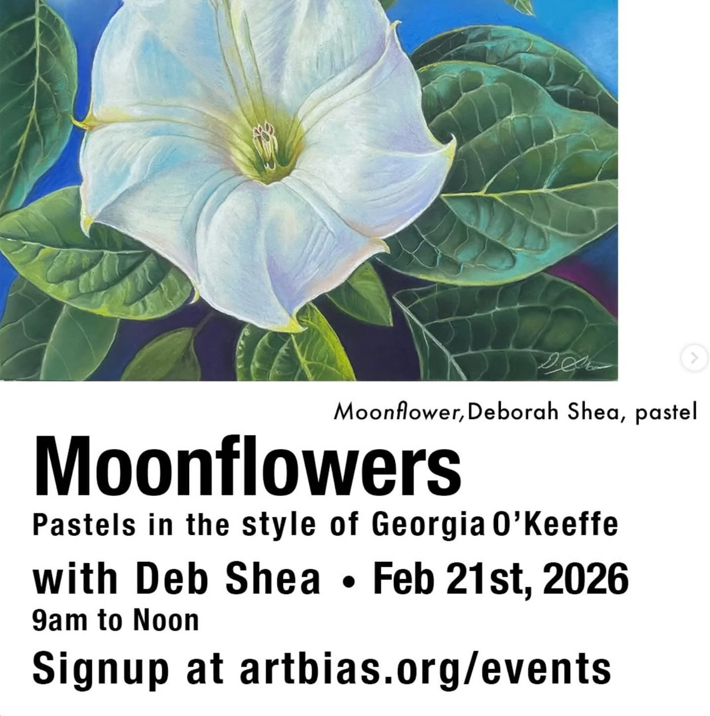Join Artist Deborah Shea for a fantastic &ldquo;Moonflowers&rdquo; (Jimson Weed) class in pastels! These beautiful flowers were a favorite of Georgia O&rsquo;Keeffe and among her most incredible art. 

In this class we will learn all about pastels an