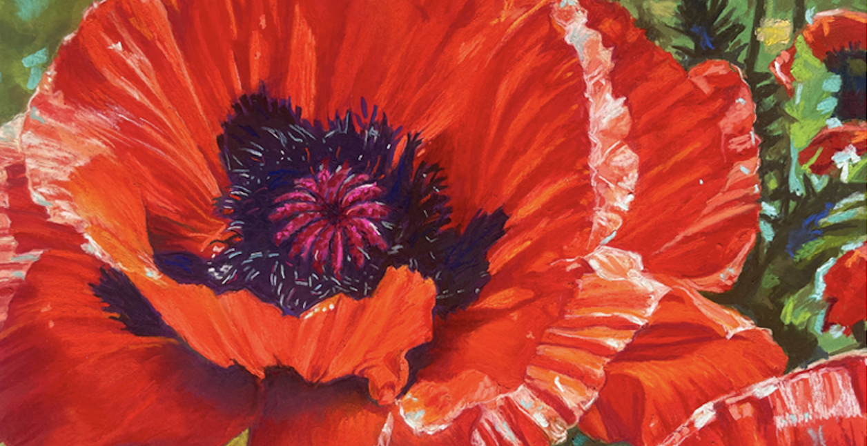 WORKSHOP: Poppies: Pastels in the Style of Georgia O'Keeffe