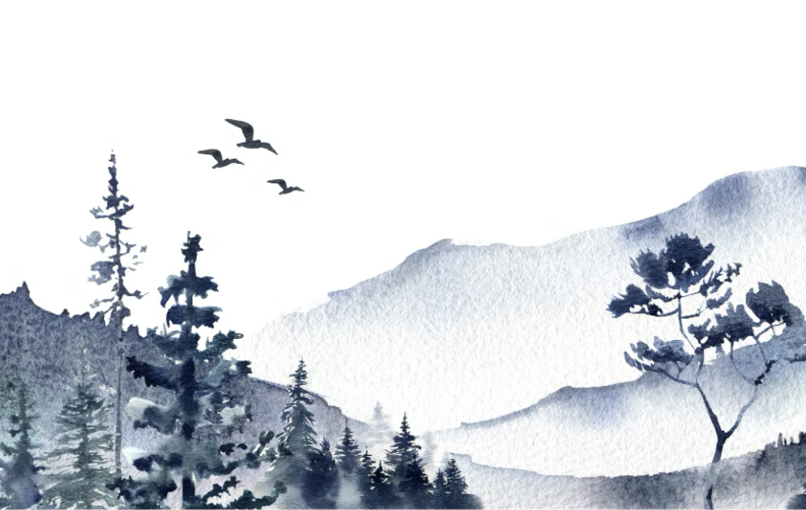 WORKSHOP: Watercolor Happy Hour: Let's paint landscapes!