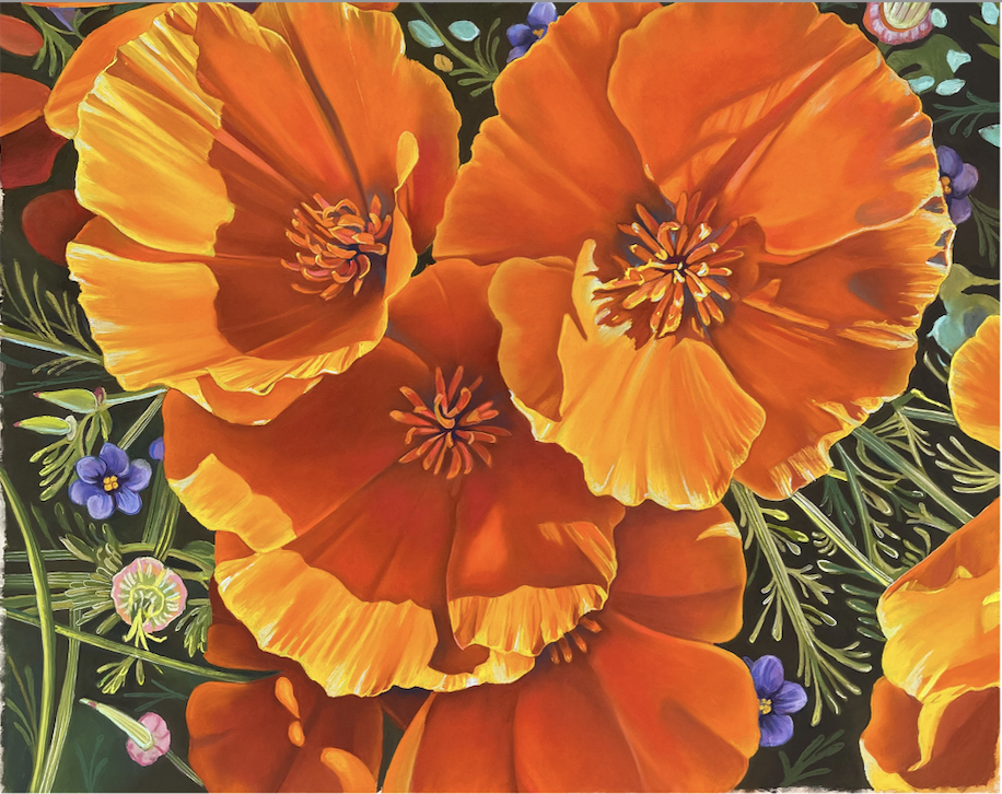 WORKSHOP: California Poppies: Pastels in the Style of Georgia O'Keeffe