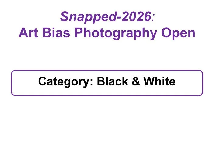 Snapped-2026 B&W Slide.jpg