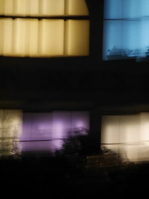 Talila Baron - Vanishing