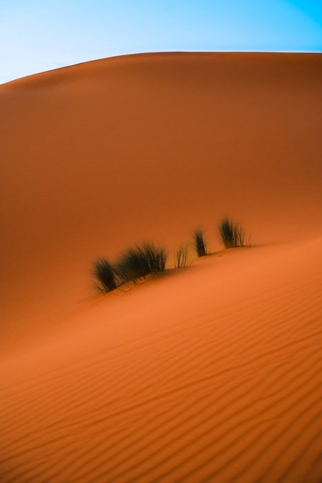 Ivan Baxarias - Sahara Curve