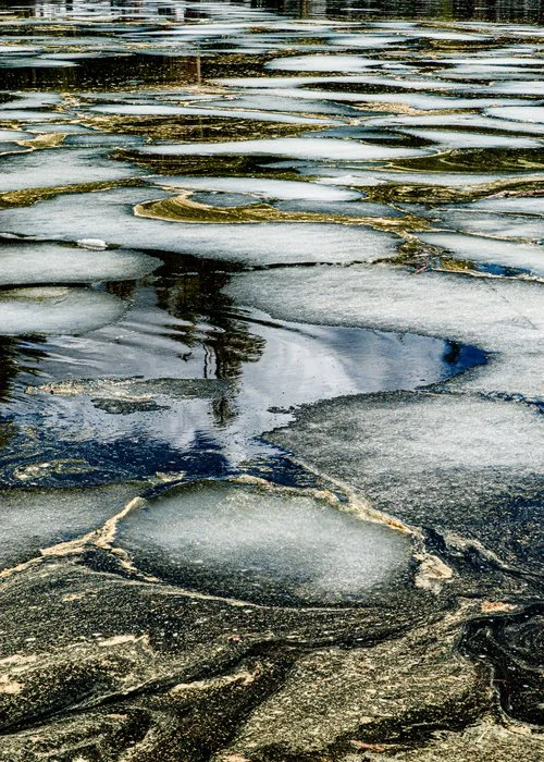 Dan McLean - Pollen and Ice