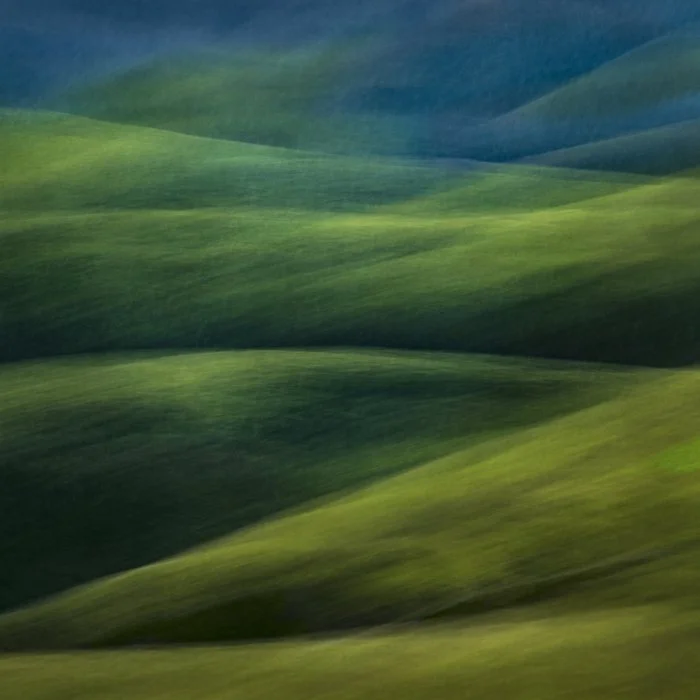 Mary Sheft - Bolinas Ridge Spring