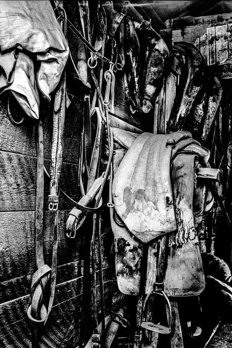 Dan McLean - Tack Room