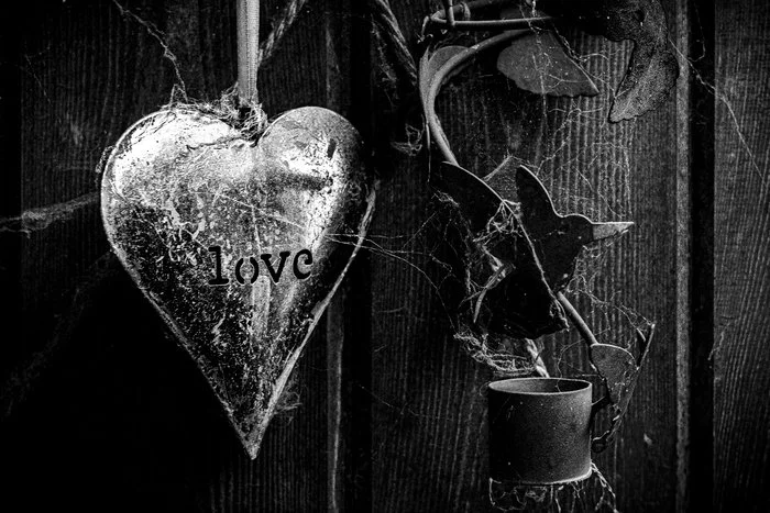 Stephanie Romanowski - In a World Without You