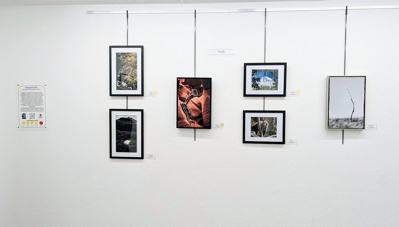 Art Bias Gallery - Youth