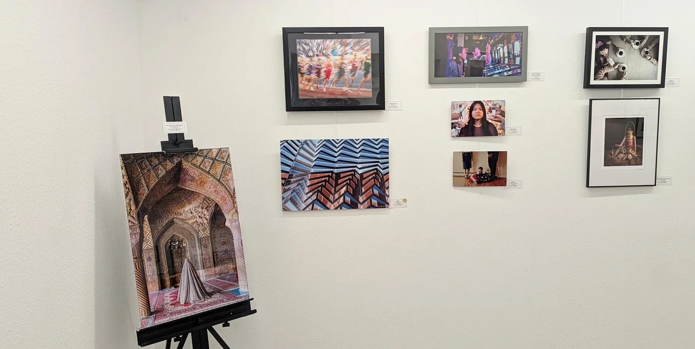 Art Bias Gallery - Color-1