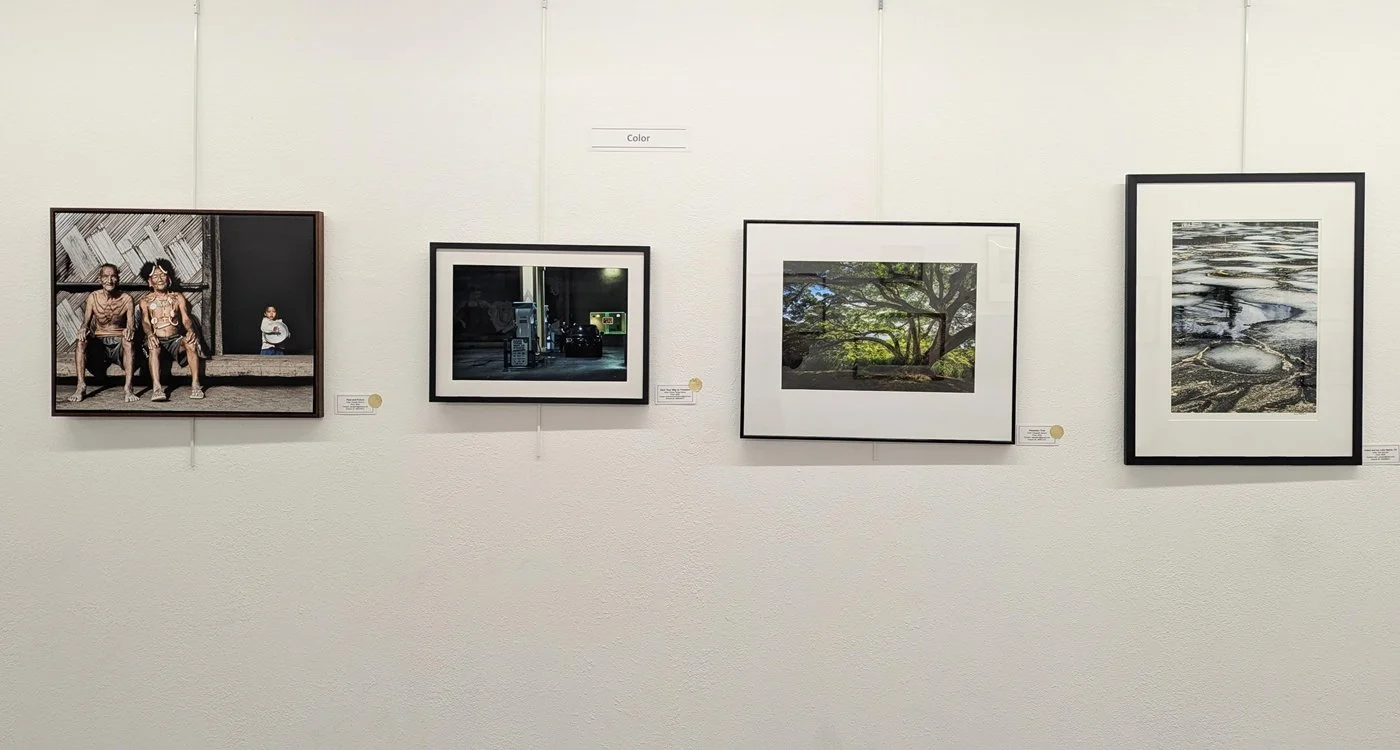 Art Bias Gallery - Color-2