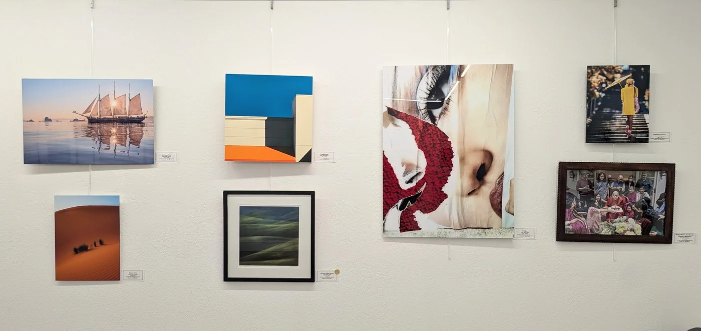 Art Bias Gallery - Color-3