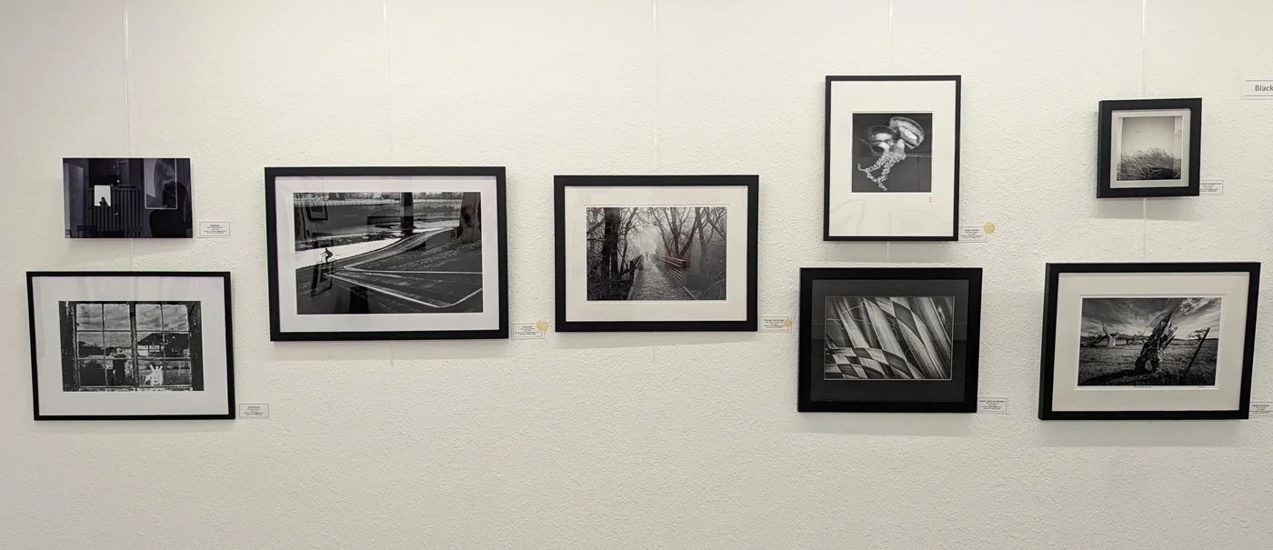 Art Bias Gallery - B&amp;W-1
