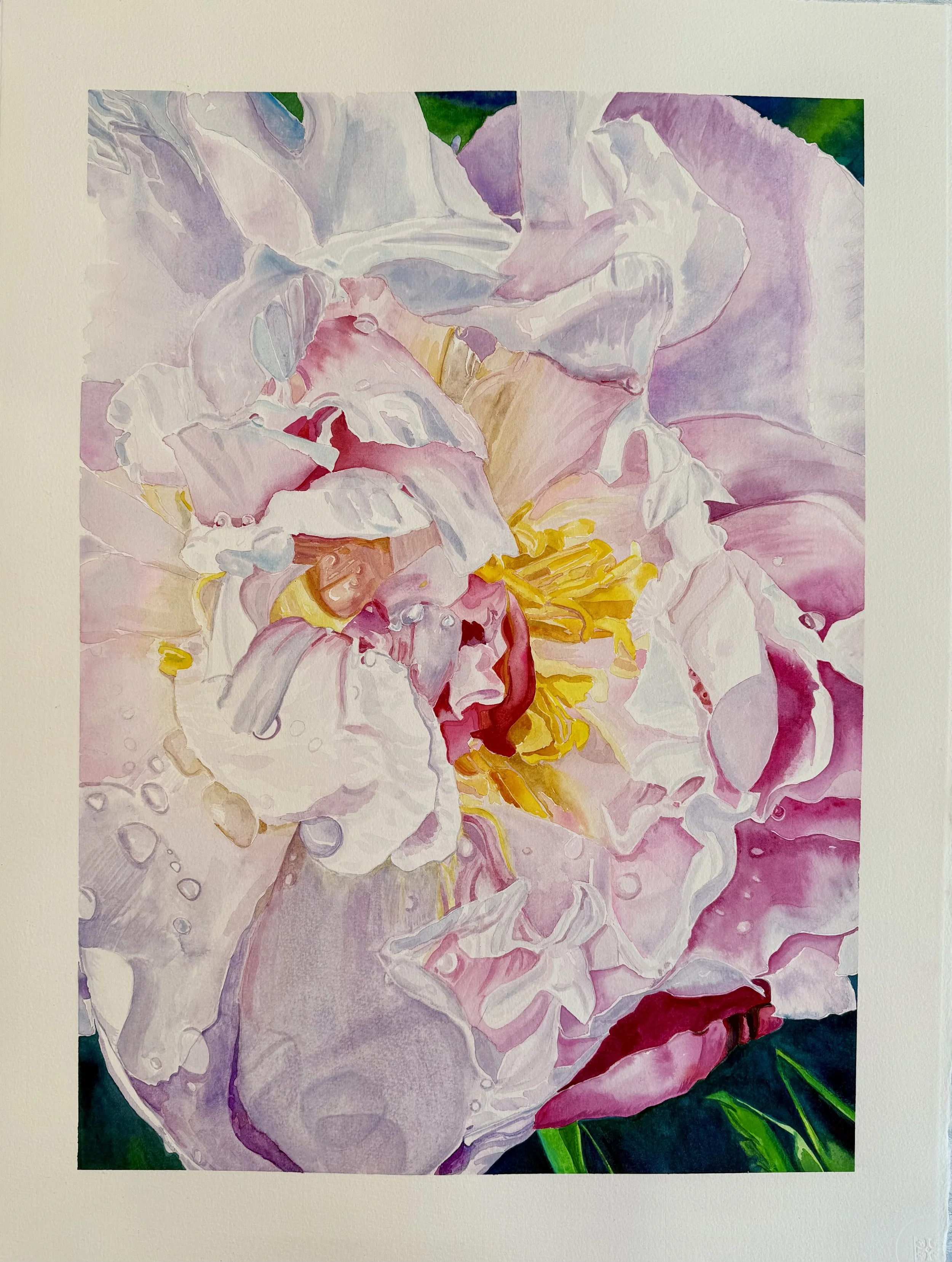 Emily Becker (#214)